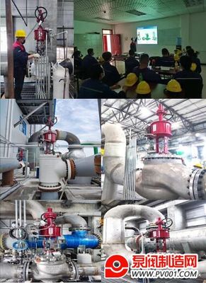 纽托克防喘振阀助力世界首套荒煤气制乙二醇项目投产成功