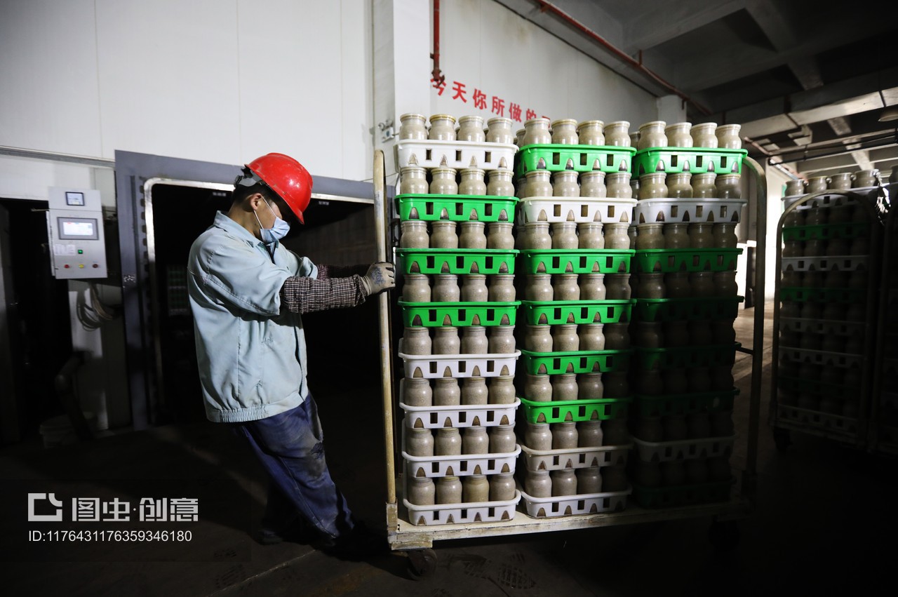 独家:日产金针菇80吨 这个基地成江苏之最