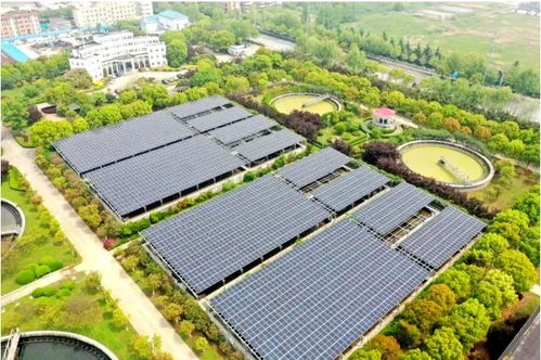 三峡集团2022年首个长江大保护项目正式开工