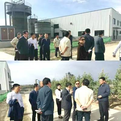 内蒙古自治区党委常委、呼和浩特市委书记云光中一行莅临万德斯环保项目现场视察指导