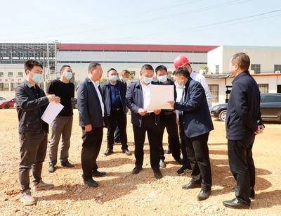 黄进到大龙开发区调研督导项目建设及生态环保、安全生产工作