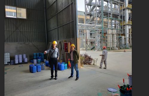 服务与监管并重,助力重点企业复工复产