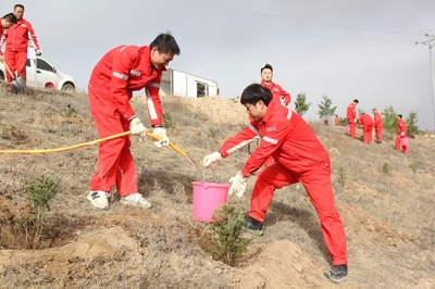 长庆油田采油七厂 企地共建“同心林”，科技赋能绿色发展