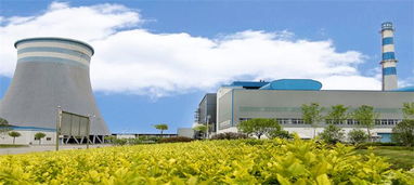 安能热电集团绿色能源环保综合开发项目落户我县，开启绿色发展新篇章